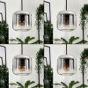 Lauden Lampadario a sospensione, Lampada a sospensione Blu, Verde, Chiaro, Ramato, Grigio fumo, 6-Luci