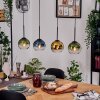 Koyoto Lampadario a sospensione, Lampada a sfera, Lampada a sospensione Écru, Nero, 4-Luci