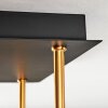 Gastor Plafoniera, Lampada a sfera Oro, Nero, 5-Luci