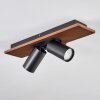 Dalan Plafoniera, Faretto da soffitto LED Écru, Nero, 2-Luci