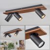 Dalan Plafoniera, Faretto da soffitto LED Écru, Nero, 3-Luci