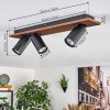 Dalan Plafoniera, Faretto da soffitto LED Écru, Nero, 3-Luci