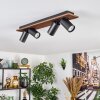Dalan Plafoniera, Faretto da soffitto LED Écru, Nero, 4-Luci