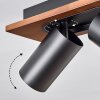 Dalan Plafoniera, Faretto da soffitto LED Écru, Nero, 4-Luci