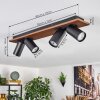 Dalan Plafoniera, Faretto da soffitto LED Écru, Nero, 4-Luci
