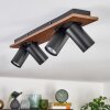 Dalan Plafoniera, Faretto da soffitto LED Écru, Nero, 4-Luci