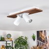 Dalan Plafoniera, Faretto da soffitto LED Écru, Bianco, 2-Luci
