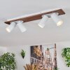 Dalan Plafoniera, Faretto da soffitto LED Écru, Bianco, 4-Luci
