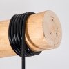 Koyoto Lampadario a sospensione, Lampada a sfera, Lampada a sospensione Écru, Nero, 3-Luci