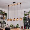 Cando Lampadario a sospensione, Lampada a sospensione Écru, Nero, 5-Luci