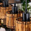 Cando Lampadario a sospensione, Lampada a sospensione Écru, Nero, 5-Luci