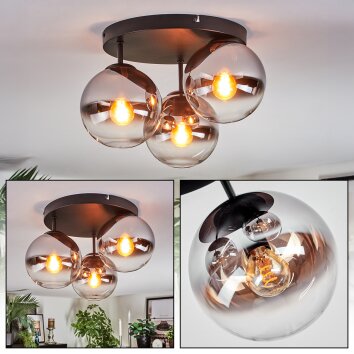 Gastor Plafoniera, Lampada a sfera Cromo, Chiaro, Grigio fumo, 3-Luci