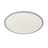 Wofi LINOX Plafoniera LED Argento, 1-Luce, Telecomando
