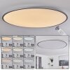 Champa Plafoniera LED Argento, 1-Luce, Telecomando