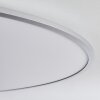 Champa Plafoniera LED Argento, 1-Luce, Telecomando