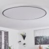 Champa Plafoniera LED Argento, 1-Luce, Telecomando