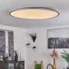 Champa Plafoniera LED Argento, 1-Luce, Telecomando