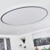 Champa Plafoniera LED Argento, 1-Luce, Telecomando