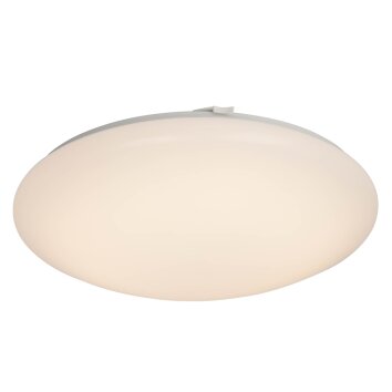 AEG Basic Plafoniera LED Bianco, 1-Luce