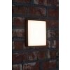 AEG Letan Square Applique per esterno LED Antracite, Bianco, 1-Luce