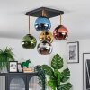 Koyoto Plafoniera, Lampada a sfera Oro, Nero, 5-Luci