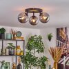 Gastor Plafoniera, Lampada a sfera 25 cm Grigio fumo, 3-Luci