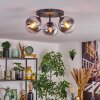 Gastor Plafoniera, Lampada a sfera Cromo, Chiaro, Grigio fumo, 3-Luci
