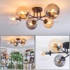 Gastor Plafoniera, Lampada a sfera 62 cm Ambrato, Chiaro, Grigio fumo, 6-Luci