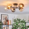 Koyoto Plafoniera, Lampada a sfera Ambrato, Chiaro, Grigio fumo, 6-Luci