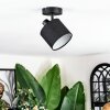 Bassagoda Plafoniera, Faretto da soffitto Nero, 1-Luce
