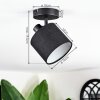 Bassagoda Plafoniera, Faretto da soffitto Nero, 1-Luce