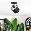 Bassagoda Plafoniera, Faretto da soffitto Nero, 1-Luce
