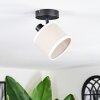Bassagoda Plafoniera, Faretto da soffitto Nero, 1-Luce