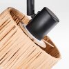 Granja Plafoniera, Faretto da soffitto Nero, 1-Luce
