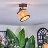 Ramila Plafoniera, Faretto da soffitto Nero, 1-Luce