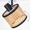 Ramila Plafoniera, Faretto da soffitto Nero, 1-Luce