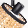 Ramila Plafoniera, Faretto da soffitto Nero, 1-Luce