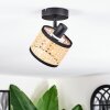 Ramila Plafoniera, Faretto da soffitto Nero, 1-Luce