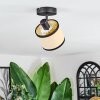Chellas Plafoniera, Faretto da soffitto Nero, 1-Luce
