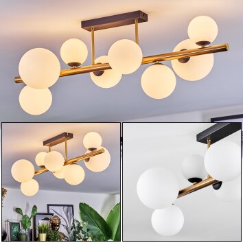 Chehalis Plafoniera, Lampada a sfera Oro, Nero, 8-Luci