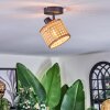 Barcos Plafoniera, Faretto da soffitto Nero, 1-Luce