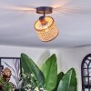 Barcos Plafoniera, Faretto da soffitto Nero, 1-Luce