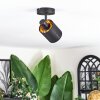 Fallhagen Plafoniera, Faretto da soffitto Nero, 1-Luce