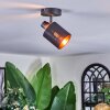 Fallhagen Plafoniera, Faretto da soffitto Nero, 1-Luce
