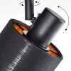 Fallhagen Plafoniera, Faretto da soffitto Nero, 1-Luce