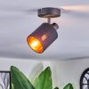 Fallhagen Plafoniera, Faretto da soffitto Nero, 1-Luce