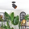Fallhagen Plafoniera, Faretto da soffitto Nero, 1-Luce