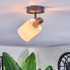 Fallhagen Plafoniera, Faretto da soffitto Nero, 1-Luce