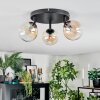 Chehalis Plafoniera, Lampada a sfera Ambrato, Chiaro, 3-Luci