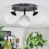 Chehalis Plafoniera, Lampada a sfera Bianco, 3-Luci